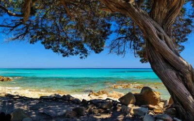 Oasi di Bidderosa. Esplora la bellezza della natura, e fatti un tuffo.