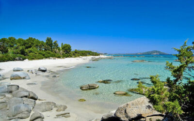 Cala Ginepro. Macchia mediterranea che resta dentro.